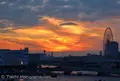 東京ビックサイト（東京国際展示場）の写真_16946
