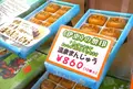 つまみ食い放題ですの写真_17660