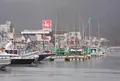 歴史の街下田へ行ってみたの写真_17907