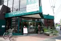 SEIYU 西友深沢店の写真_18347