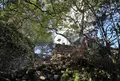 今回の登山道入口はこちらからの写真_20888