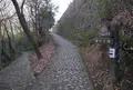 粕森公園の写真_20914