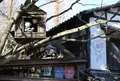 鬼太郎茶屋の写真_21231