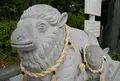 羊神社の写真_22396