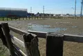 厩舎があるところの写真_24701