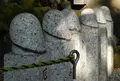 田縣神社の写真_24719