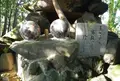 田縣神社の写真_24721