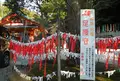大縣神社の写真_24731