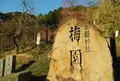 大縣神社の写真_24733