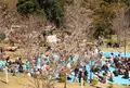 瀬戸公園の写真_25404