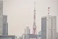 晴海ふ頭公園の写真_26421