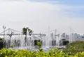 晴海ふ頭公園の写真_26423