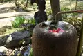 清澄庭園の写真_26766