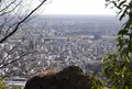 金華山ドライブウェイの写真_27027