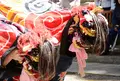 利賀村の写真_35439