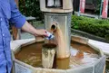 湯の街ギャラリーの写真_35513