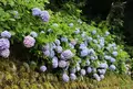 三朝町ふるさと健康むらの写真_35528