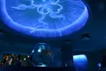 新江ノ島水族館の写真_37086