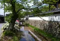 法樹寺の写真_38996