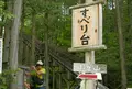 赤沢自然休養林の写真_41214
