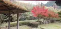 青井岳自然公園の写真_412253