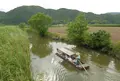 水郷のさとまるやまの写真_42091