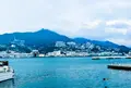 松が枝国際ターミナルの写真_45452