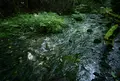 池山水源の写真_45945