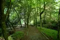 山吹水源の写真_45948