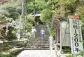 青龍寺の写真_46471