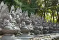 金剛福寺の写真_46595