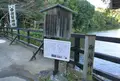 嵯峨野竹林の写真_49796