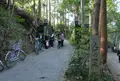嵯峨野竹林の写真_49797