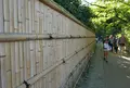 嵯峨野竹林の写真_49798