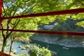 トロッコ嵯峨駅の写真_49802