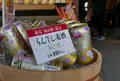 嵐山駅の写真_49832