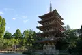醍醐寺三宝院の写真_49856