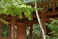 醍醐寺三宝院の写真_49861