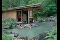 蟹場温泉の写真_51220