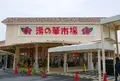 湯の華アイランドの写真_51501