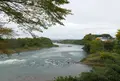 湯の華アイランドの写真_51512
