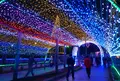 国営木曽三川公園・木曽三川公園センターの写真_52539