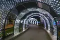 138タワーパークの写真_52544