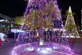 大垣公園の写真_53219