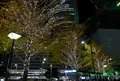 名古屋駅の写真_53281