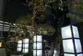 広小路通の写真_53294