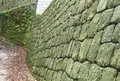 村上城跡の写真_53678