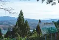 村上城跡の写真_53680