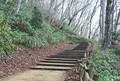 村上城跡の写真_53688