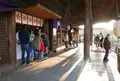 関野神社の写真_56839